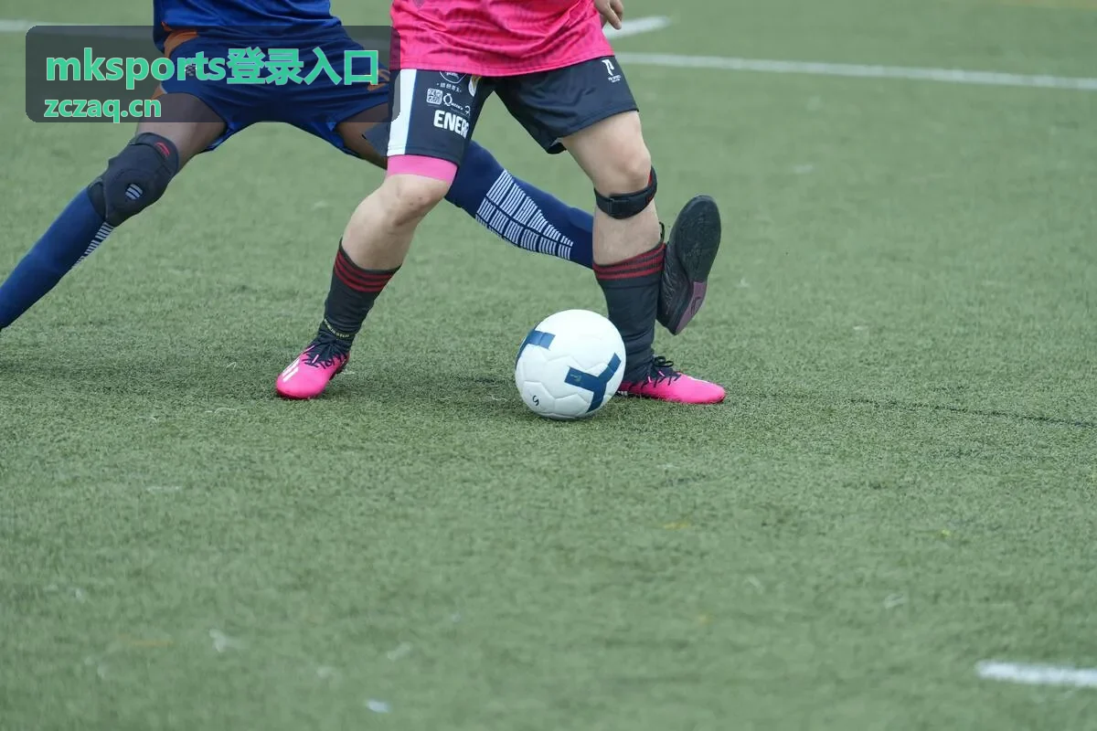mksports登录入口 账号安全验证操作示意